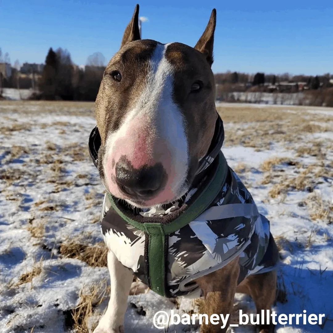 Patterned Vest With Retractable Collar