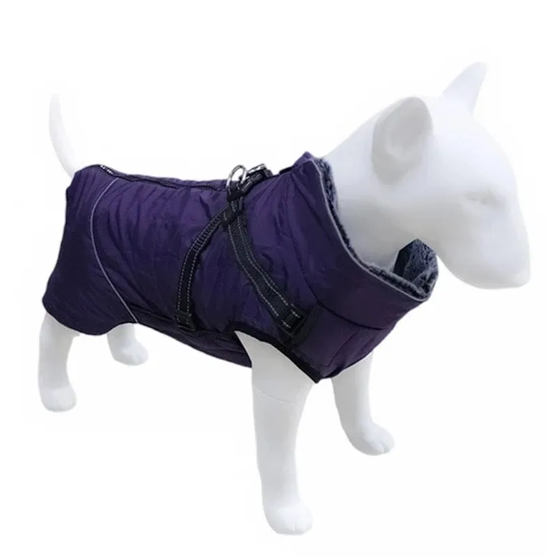 Winter Vest With Harness