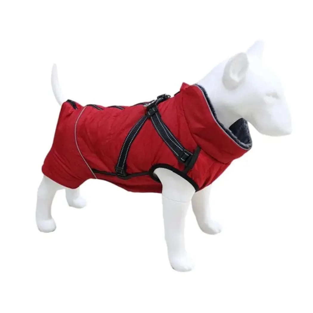 Winter Vest With Harness